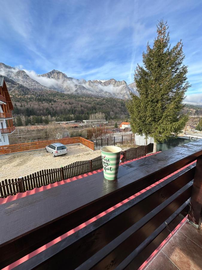 Casa Rares Buşteni Екстериор снимка